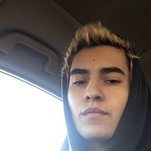 Meet your Posher, William